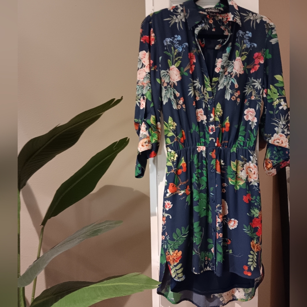 Express Portofino dress